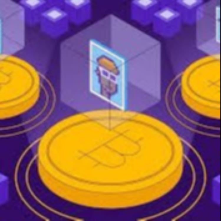 Picture of the author