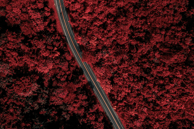 Coinbase：详解跨链桥现状及趋势