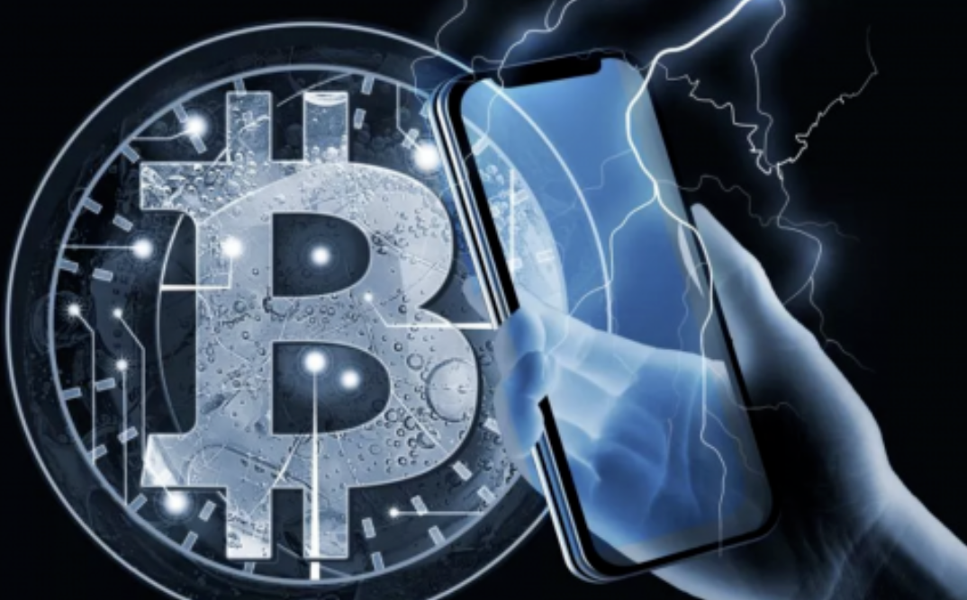 投资指南：牛市先投比特币，再投山寨币