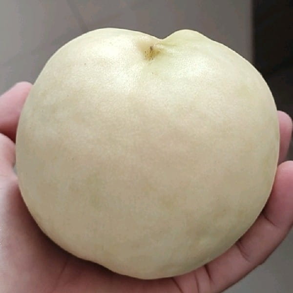 Picture of the author