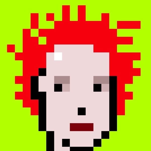 Picture of the author