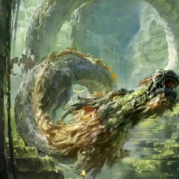 Picture of the author