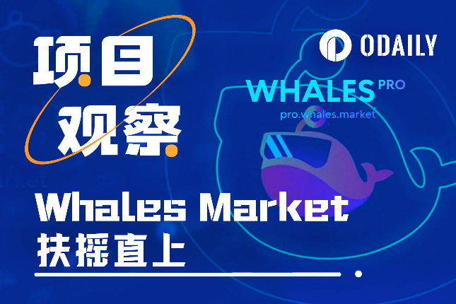 空投积分交易市场Whales Market参与指南和前景预测