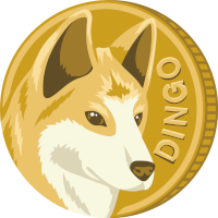 dingo