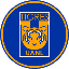 tigres