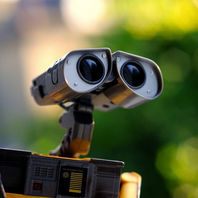 Picture of the author