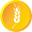 dmtc