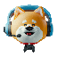 gamingdoge