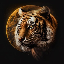 tigermoon