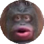 monke