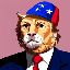 magacat