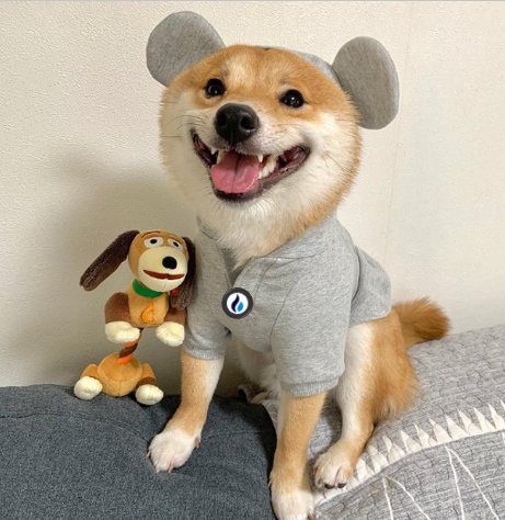 Picture of the author