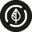 dovu