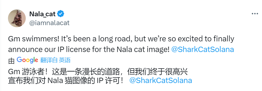 从IP争议到反抗VC，Meme社区正上演「猫王争霸」战