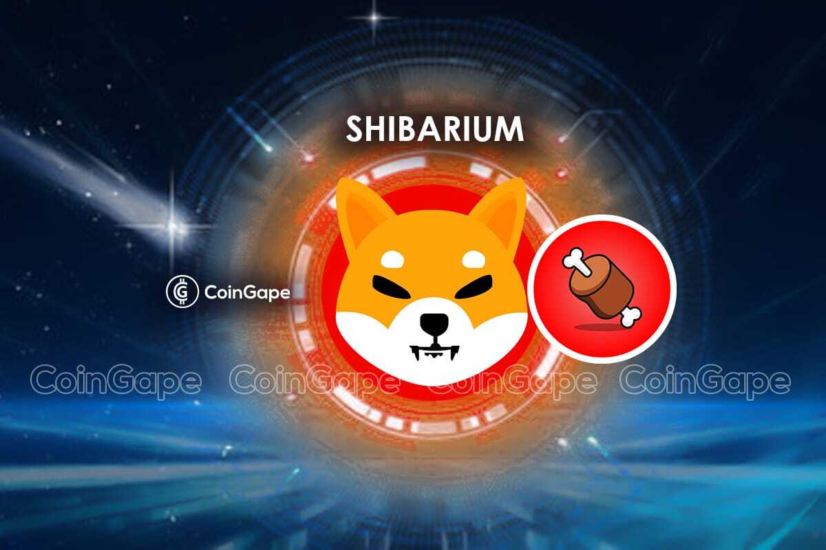 Shibarium BONE Token Set for Potential Binance Listing Price Up by 5% - coingape
