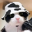moocat