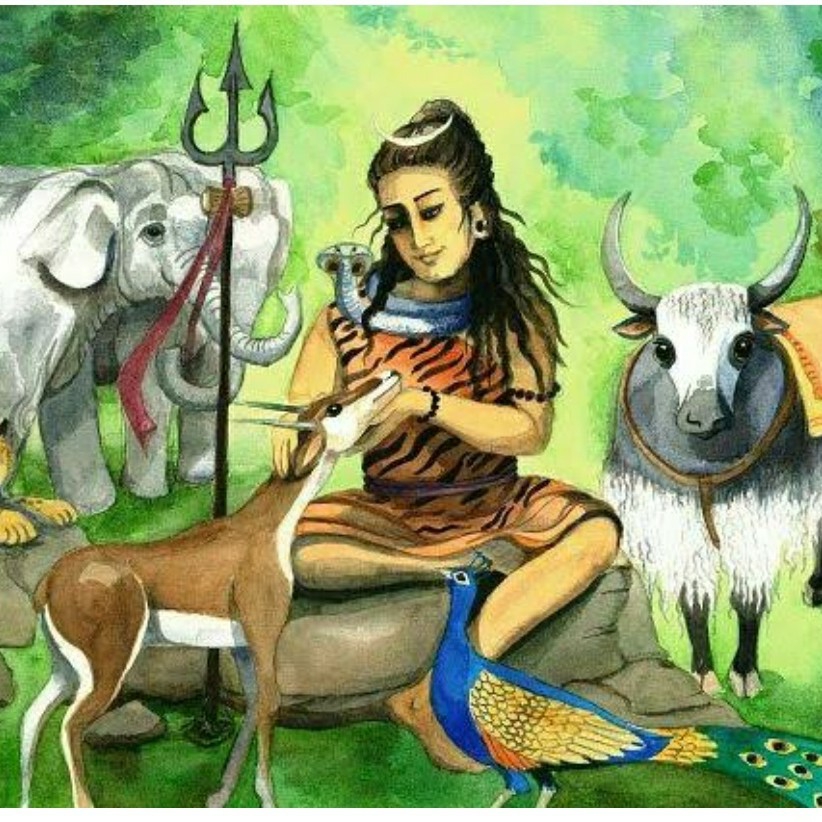 Picture of the author