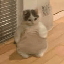 fatmichi