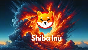 Shib发布第二代NFT「SHEboshis」：临时调整规则的女性主题ERC 404