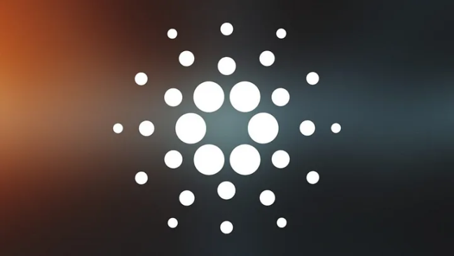 ADA 是否能够在老币组合中，冲出一匹黑马？