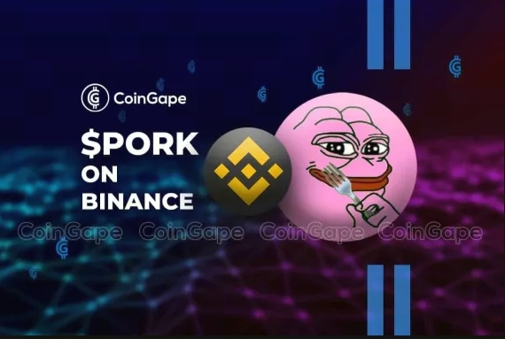 $PORK: Will the Altcoin be Listed on Binance?