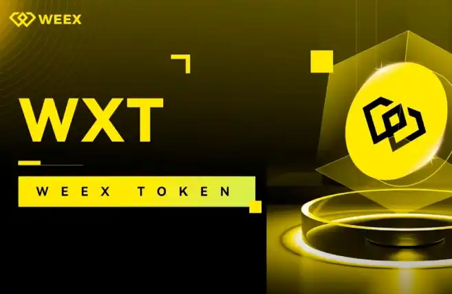 WXT用户转账闹乌龙，如何正确识别区块链项目避免转错币？ - 长文源：区块律动