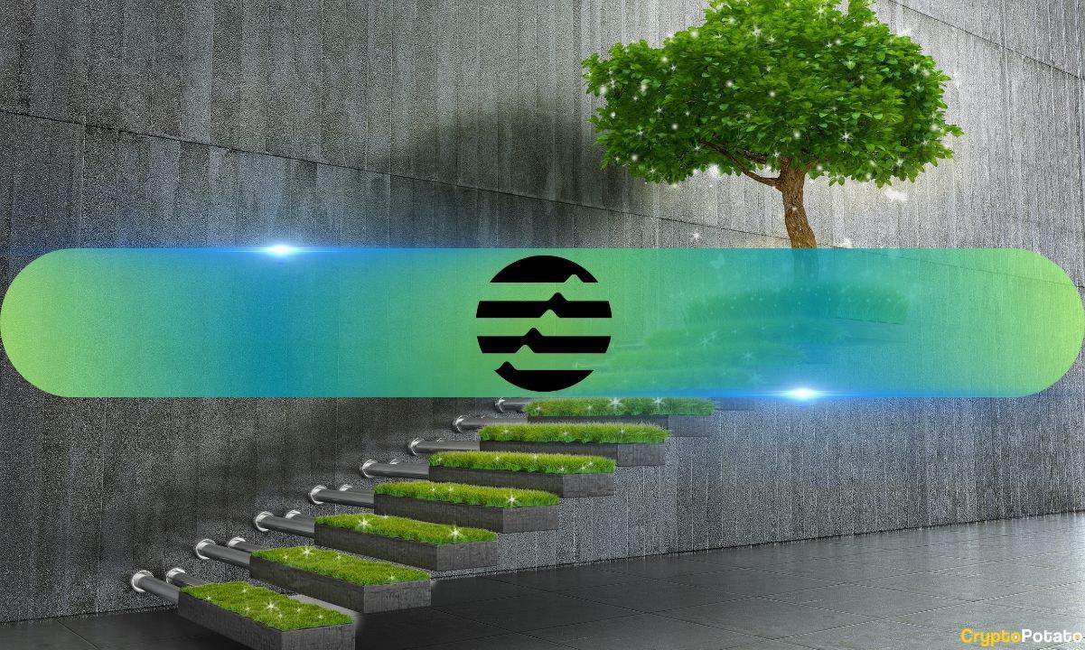 Nansen的新仪表板揭示了Aptos在交易和开发活动方面的显著增长