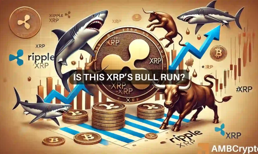 XRP会达到0.63美元吗？鲸鱼、鲨鱼如何帮助山寨币反弹