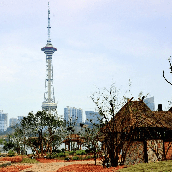 Picture of the author