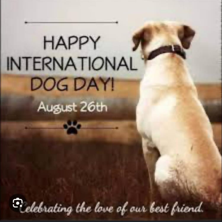 Picture of the author