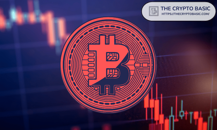 Brandt警告称，尽管最近比特币价格反弹，但仍有看跌趋势