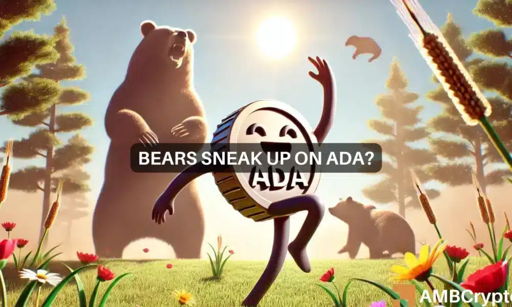 卡尔达诺：“2倍牛市”还是熊市？探索ADA的选择