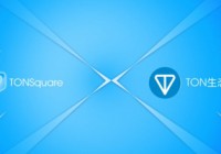 一文读懂 TON 质押机制