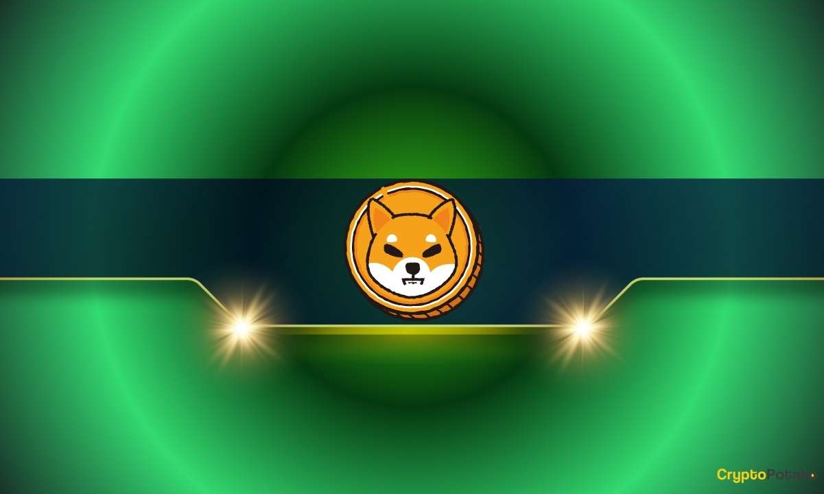 Shiba Inu（SHIB）价格每日暴跌7%，但故事还有更多