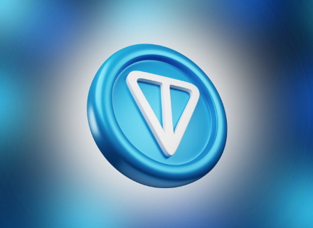 一文读懂 TON 质押机制