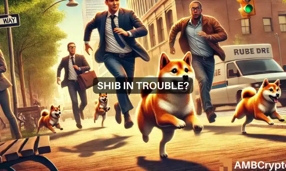 鲸鱼和烧伤——SHIB正试图恢复其价格