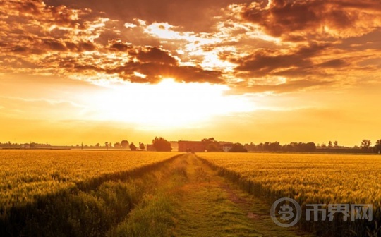 NUTU将在全球bitcoin热币交易所于2024.07.30正式上线