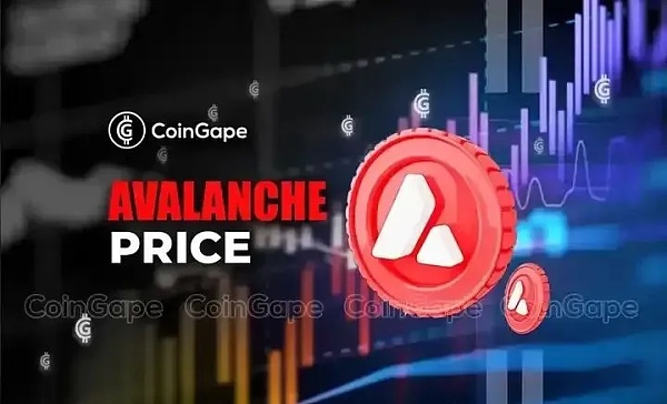 Avalanche 价格强势反弹 AVAX 将上涨 40 美元？