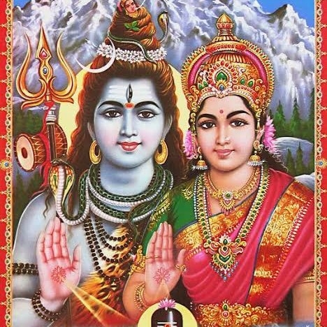 Picture of the author