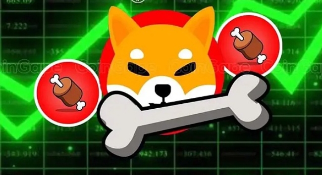 BONE永久上市加拿大 Shib预测价格飙升？