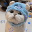 $kitty