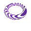 qdfi