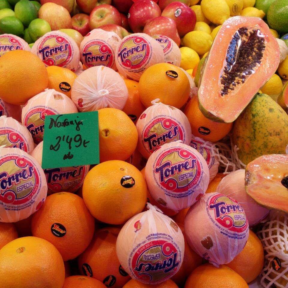 Picture of the author