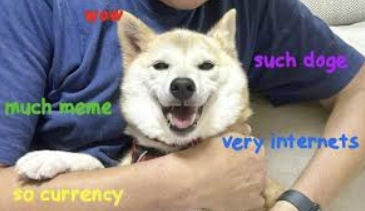 新柴犬 Neiro 登场，接棒 DOGE 成「Meme 币新王」？