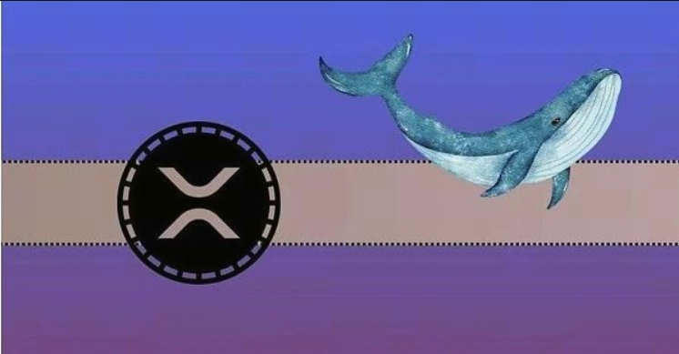 XRP价格能涨到多高？