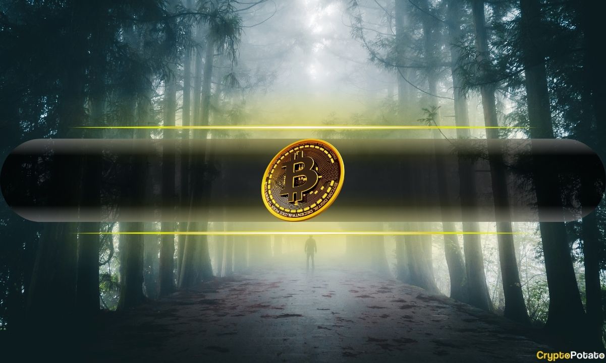 比特币价格暴跌背后的原因：Arthur Hayes猜测