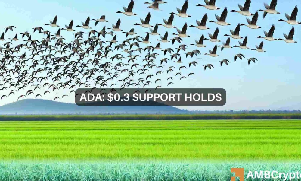 卡尔达诺价格预测——如果0.3美元保持不变，请关注这些价格水平！