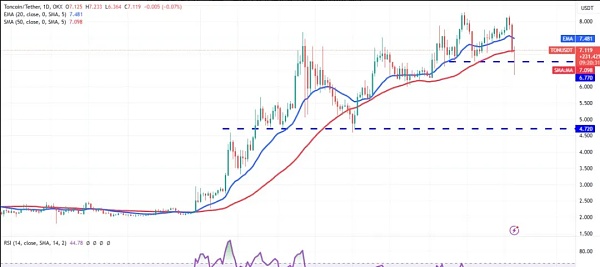 大幅波动预期 TON ADA AVAX和SHIBA币的未来展望