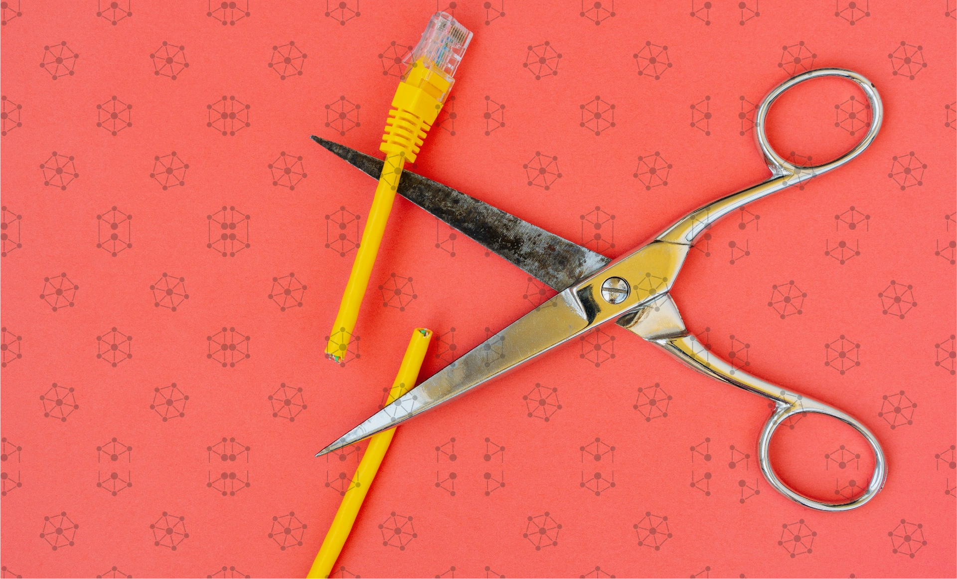 两天后，第一层区块链Canto仍处于离线状态