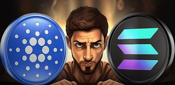 SOL和ADA能否超越比特币